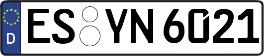 ES-YN6021