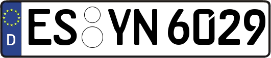 ES-YN6029