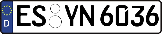 ES-YN6036