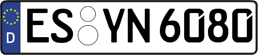 ES-YN6080
