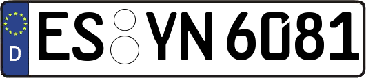 ES-YN6081