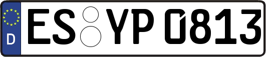 ES-YP0813
