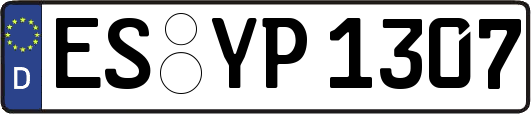ES-YP1307