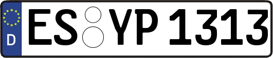 ES-YP1313
