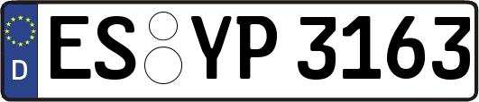 ES-YP3163