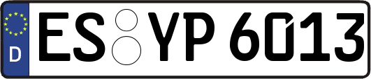 ES-YP6013