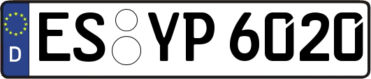 ES-YP6020