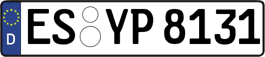 ES-YP8131