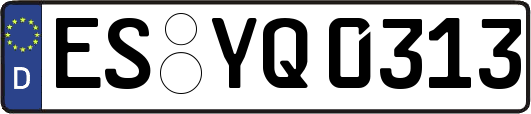 ES-YQ0313