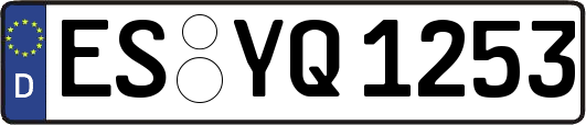 ES-YQ1253