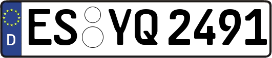 ES-YQ2491