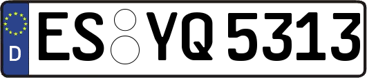 ES-YQ5313