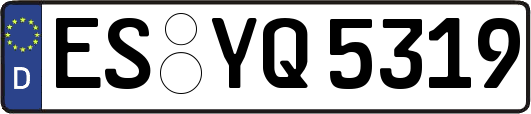 ES-YQ5319