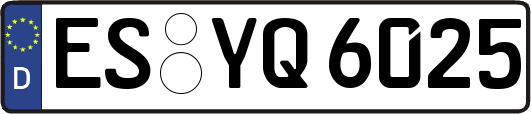 ES-YQ6025