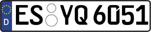 ES-YQ6051