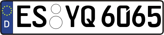 ES-YQ6065