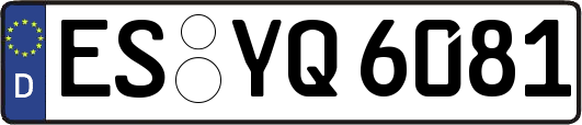 ES-YQ6081