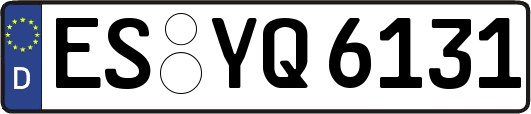 ES-YQ6131