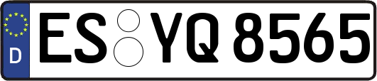 ES-YQ8565
