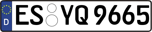 ES-YQ9665
