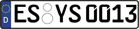 ES-YS0013