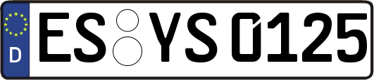 ES-YS0125