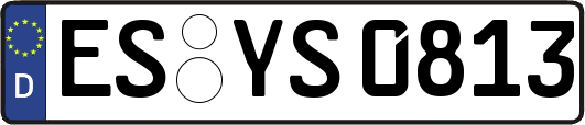 ES-YS0813