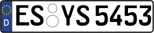 ES-YS5453