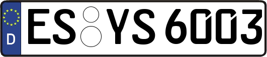 ES-YS6003