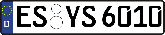 ES-YS6010