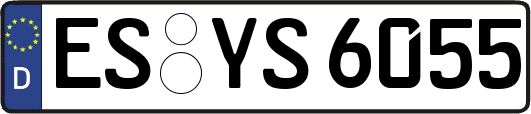 ES-YS6055