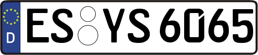 ES-YS6065