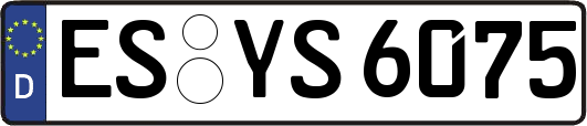 ES-YS6075