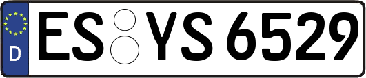 ES-YS6529