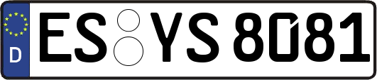 ES-YS8081