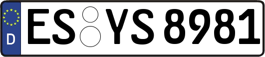 ES-YS8981