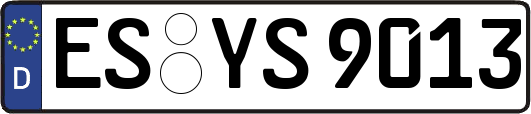 ES-YS9013