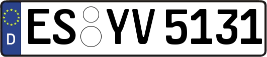 ES-YV5131