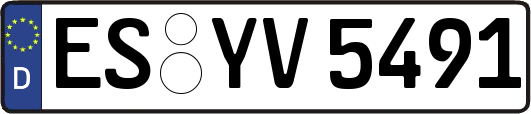ES-YV5491