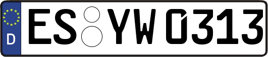 ES-YW0313