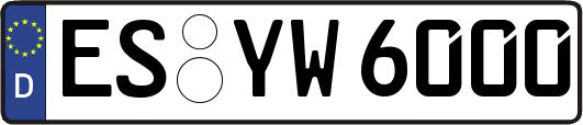 ES-YW6000