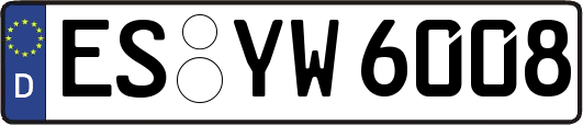 ES-YW6008
