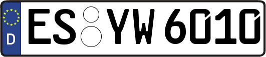 ES-YW6010