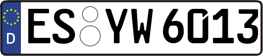 ES-YW6013