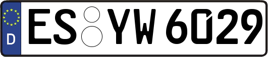 ES-YW6029