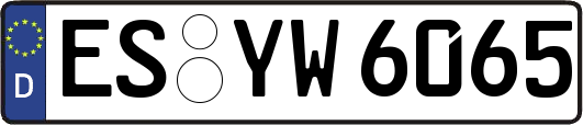 ES-YW6065