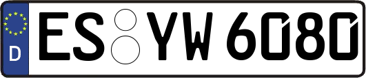 ES-YW6080