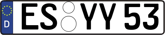 ES-YY53