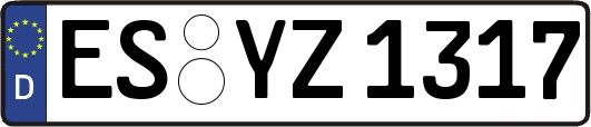ES-YZ1317