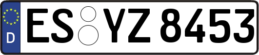 ES-YZ8453